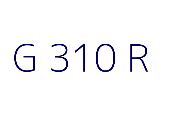 G 310 R
